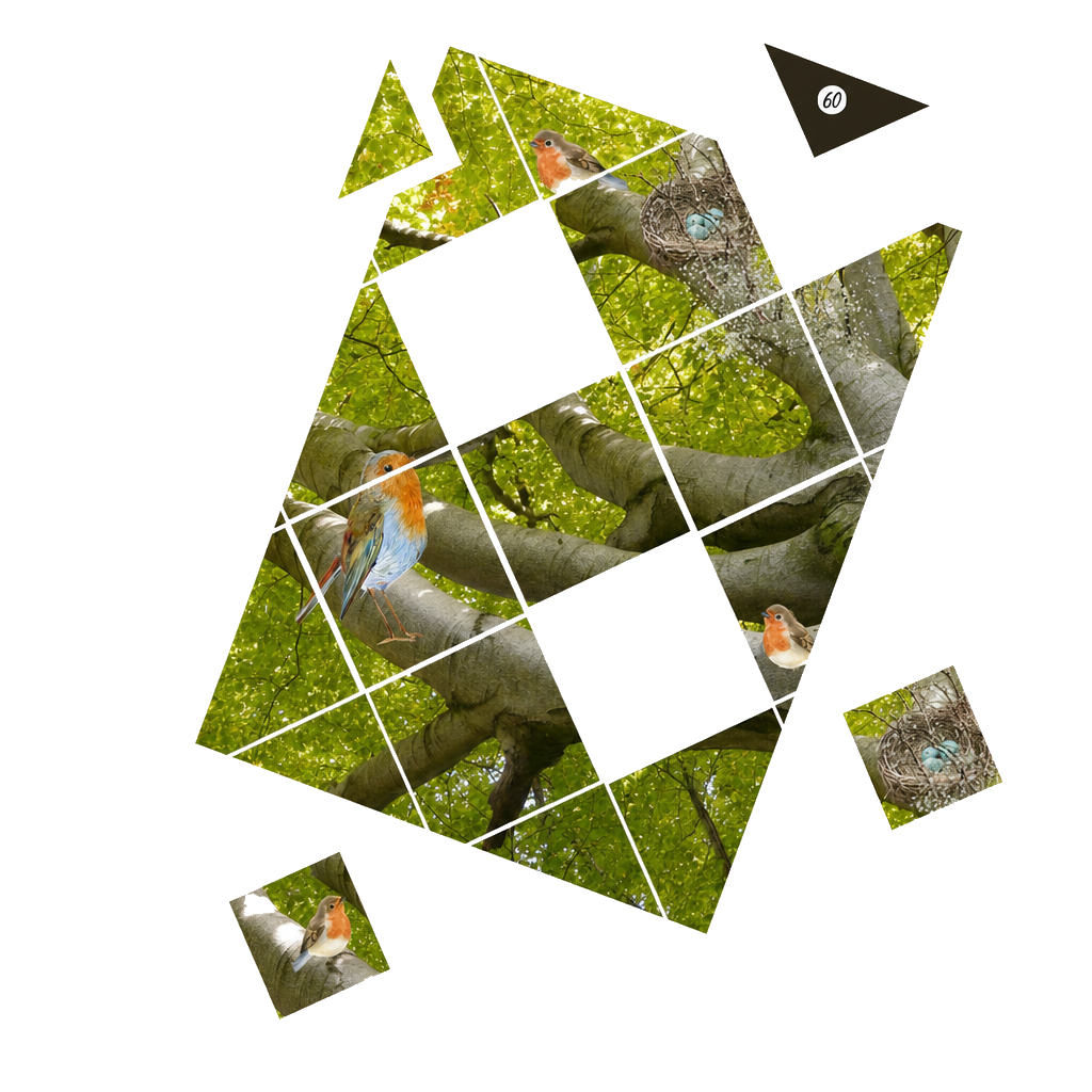 Birds Tree math puzzle