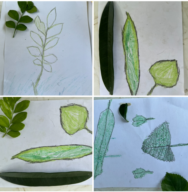 Close observation drawing of a leaf